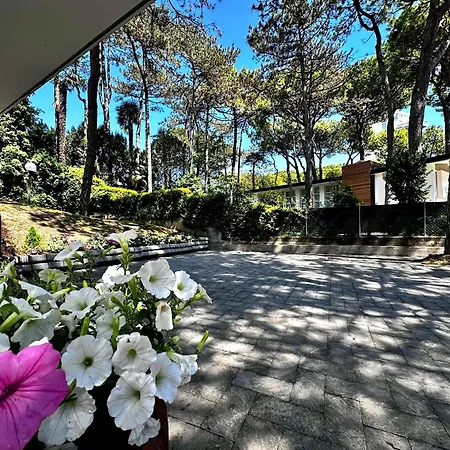Greif Pineta