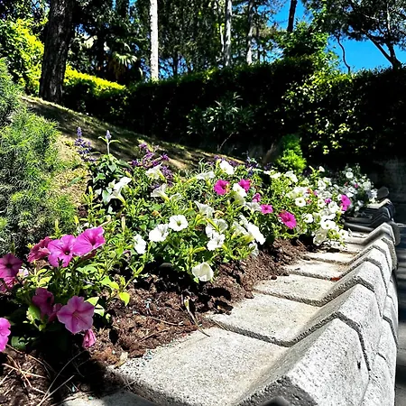 Villa Greif Pineta *