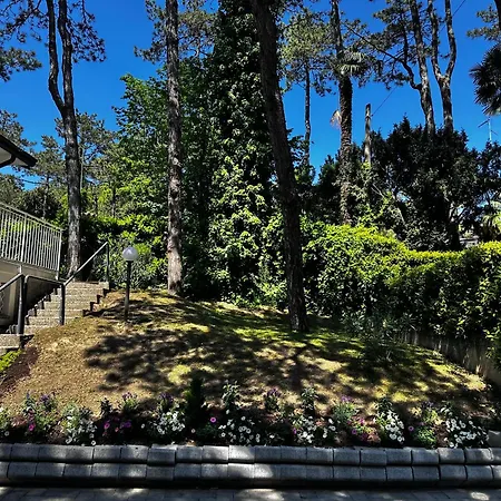 Greif Pineta וילה