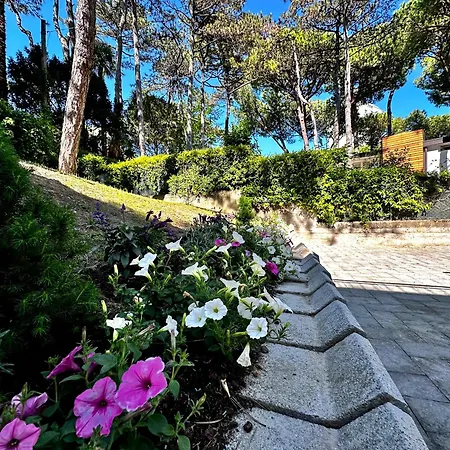 וילה Greif Pineta *