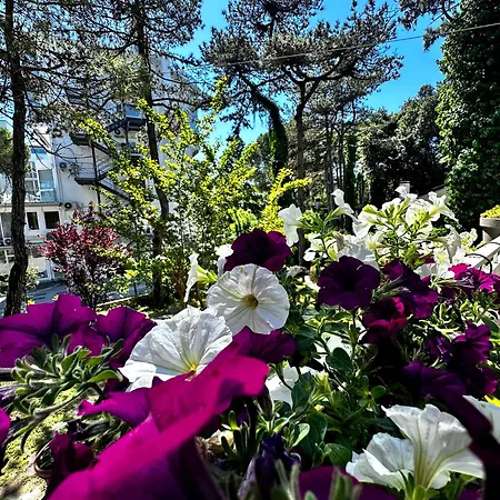 Greif Pineta * Линьяно-Саббьядоро