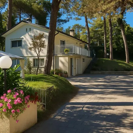 Greif Pineta * ליגננו סביאדורו