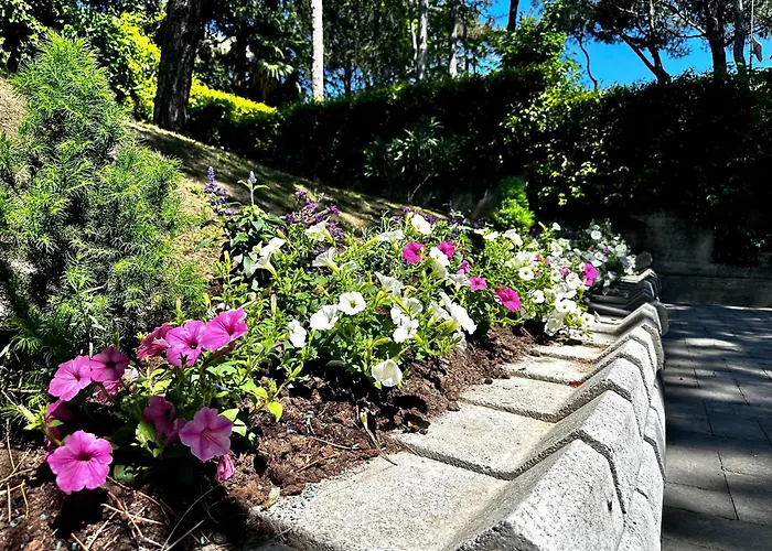 Willa Greif Pineta *