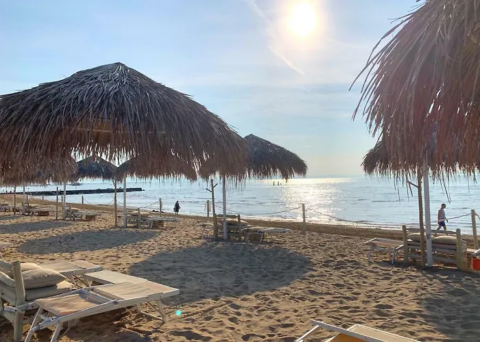 Willa Greif Pineta *